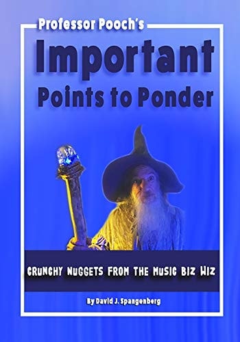 Important Points to Ponder Crunchy Nuggets from the Music Biz Wiz