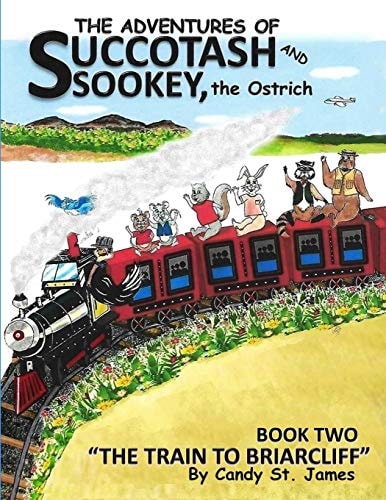 The Adventures of Succotash and Sookey, the Ostrich Book Two, The Train To Briarcliff