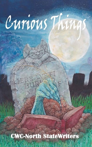 Curious Things A Compilation of Curiously Disturbing and Sometimes Horrifying Stories