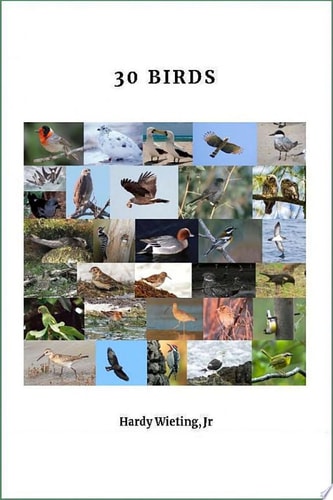 30 Birds