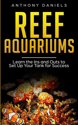 Reef Aquariums Learn the Ins and Outs to Set Up Your Tank for Success