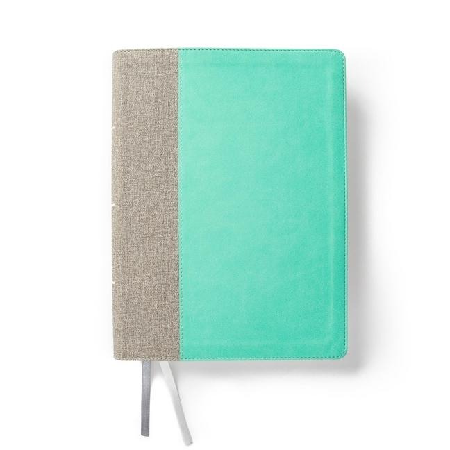 CSB Lifeway Women's Bible, Gray/Mint Leathertouch