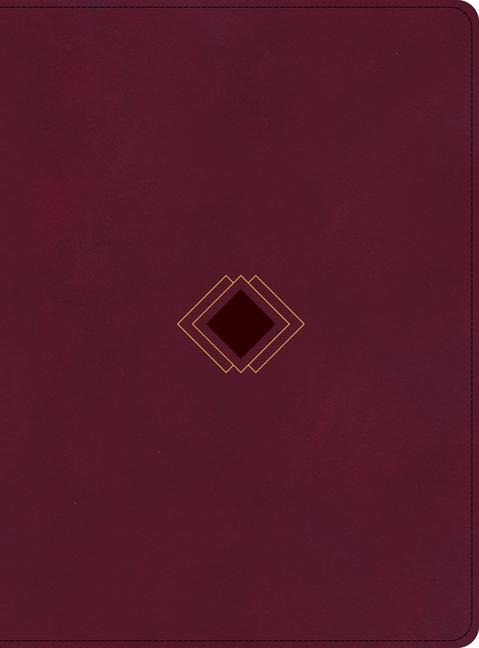 CSB Day-By-Day Chronological Bible, Burgundy Leathertouch