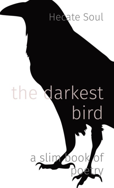 the darkest bird: a slim book of poetry