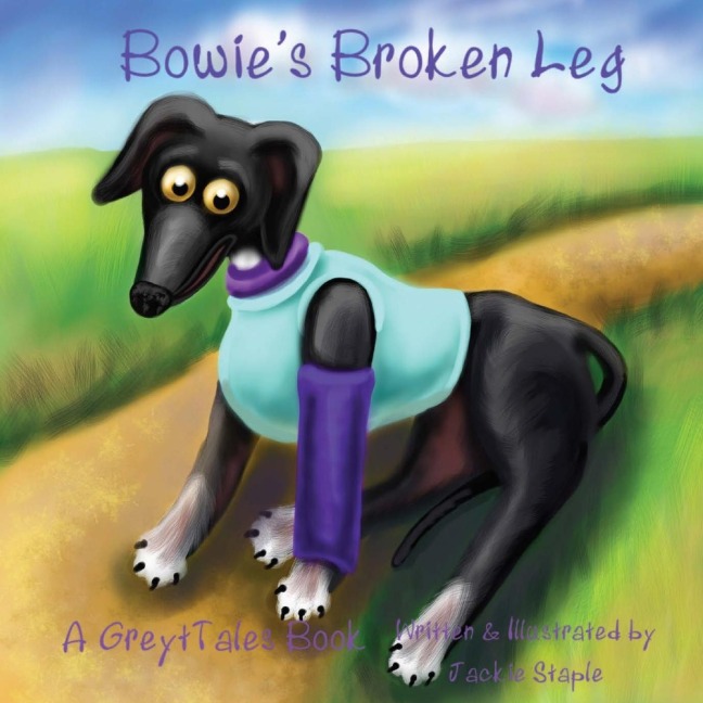 Bowies Broken Leg