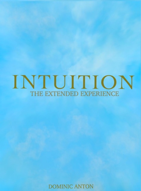 INTUITION: The Extended Experience