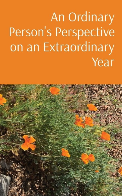 An Ordinary Persons Perspective on an Extraordinary Year