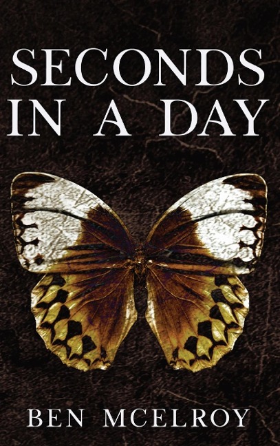 SEDONDS IN A DAY: A Novel