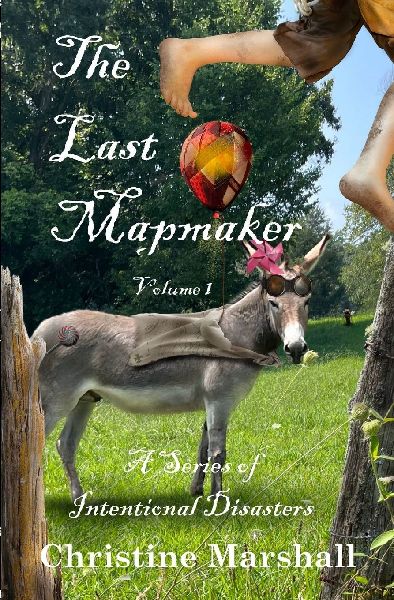 The Last Mapmaker: A Series of Intentional Disasters Volume 1
