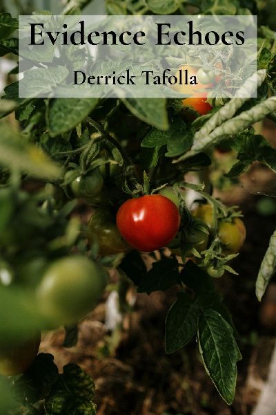 Evidence Echoes: Understanding soil structures for robust edible plant growth.