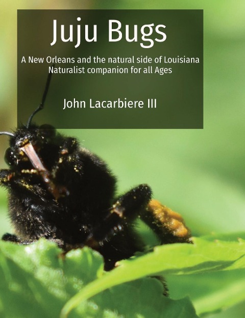 Juju Bugs: A New Orleans and the natural side of Louisiana Naturalist companion for all Ages