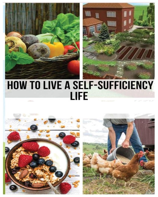 Mastering the Self-Sufficient Life: A Comprehensive Guide