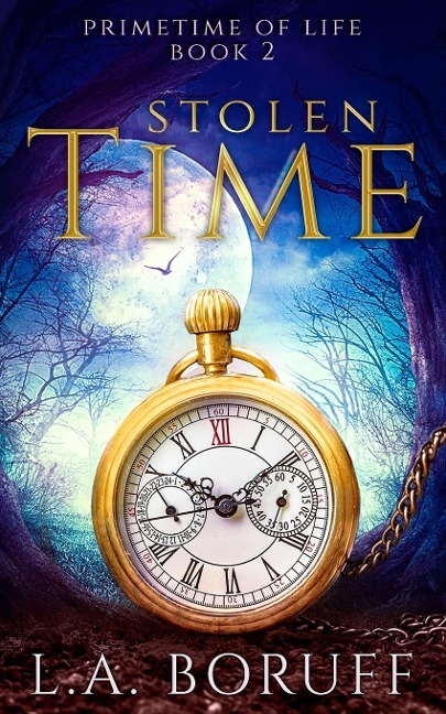 Stolen Time: A Time Travel Romance
