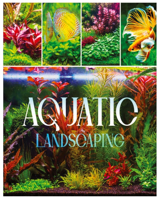 Aquatic Landscaping: Dive into the Art of Creating Underwater Paradises