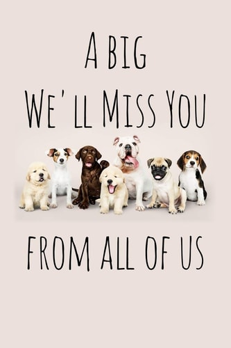 A Big We'll Miss You from All of Us Perfect Goodbye Gift for Coworker That Is Leaving / Going Away Gift for Your Co Worker, Boss, Manager, Employee