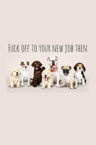 Fuck Off to Your New Job Then Perfect Goodbye Gift for Coworker That Is Leaving / Going Away Gift for Your Co Worker, Boss, Manager, Employee