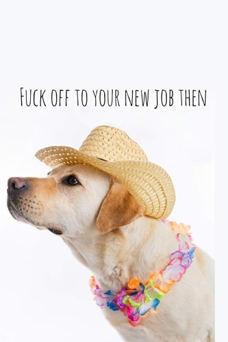 Fuck Off to Your New Job Then Perfect Goodbye Gift for Coworker That Is Leaving / Going Away Gift for Your Co Worker, Boss, Manager, Employee