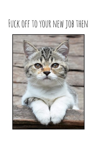 Fuck Off to Your New Job Then Perfect Goodbye Gift for Coworker That Is Leaving / Going Away Gift for Your Co Worker, Boss, Manager, Employee