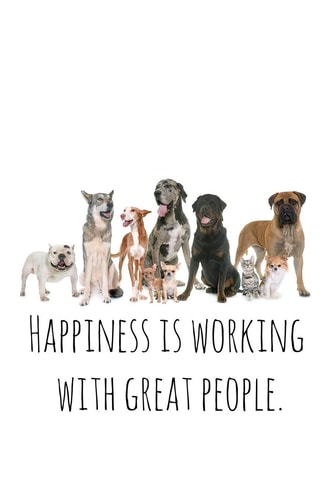 Happiness Is Working with Great People Perfect Goodbye Gift for Coworker That Is Leaving / Going Away Gift for Your Co Worker, Boss, Manager, Employee