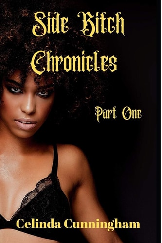 Side Bitch Chronicles Chapter One