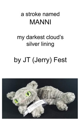 A Stroke Named Manni My Darkest Clouds Silver Lining