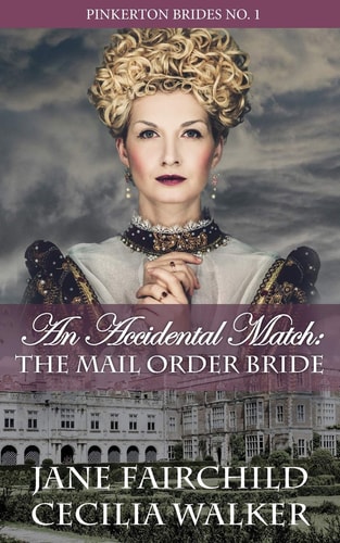 An Accidental Match The Mail Order Bride