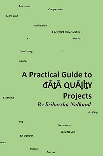 A Practical Guide to Data Quality Projects Assessment and Recommendation