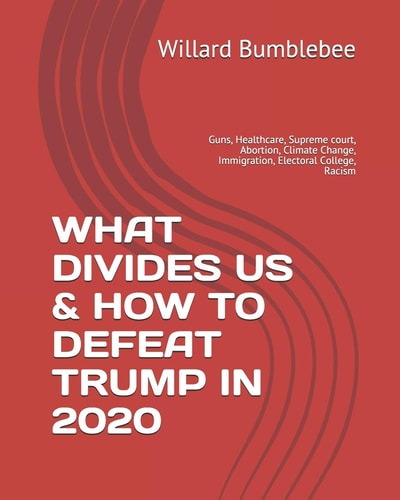 WHAT DIVIDES US and HOW to DEFEAT TRUMP In 2020 Guns, Healthcare, Supreme Court, Abortion, Climate Change, Immigration, Electoral College, Racism