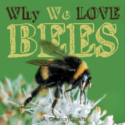 Why We Love.. BEES ('Why We Love...' Series)