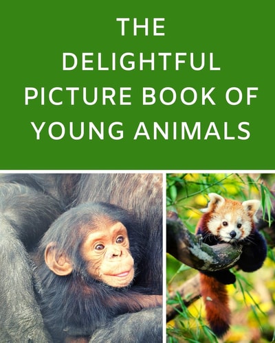 The Delightful Picture Book Of Young Animals A Reading Gift Book for Alzheimer Or Dementia Patients Parents Grandparents: Senior Citizens Day