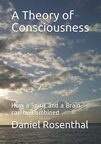 A Theory of Consciousness How a Spirit and a Brain Can Be Combined