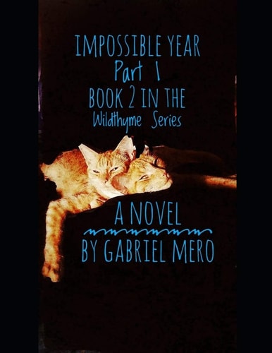 Impossible Year: Part 1 Book Two in the Wildthyme Series