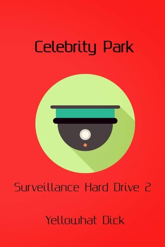 Celebrity Park Surveillance Hard Drive 2