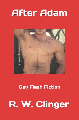 After Adam Gay Flash Fiction