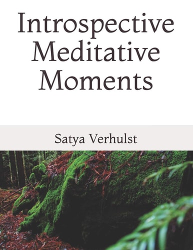 Introspective Meditative Moments.