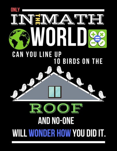 Only in the Math World Can You Line Up 10 Birds on the Roof Large Size Square Grid Coordinate and Quadrille Paper. Great for School, Students, Teachers and Office. Math World with Birds on Roof on Black Design Cover.