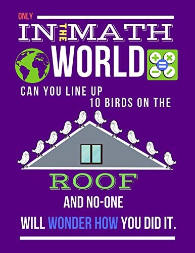 Only in the Math World Can You Line Up 10 Birds on the Roof Large Size Square Grid Coordinate and Quadrille Paper. Great for School, Students, Teachers and Office. Math World with Birds on Roof on Pink Design Cover.