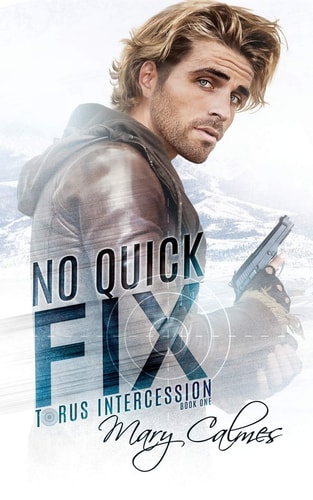 No Quick Fix Torus Intercession Book One