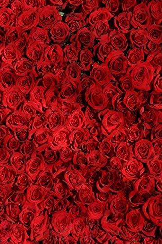 Red Roses Red Roses Stand for Passion, True Love, Romance and Desire. the Red Rose Is a Classic I Love You Rose. When Red Roses Are Used for a Bridal Bouquet, They Represent Bliss in the Marriage As Well As True Respect and Appreciation to Each Other