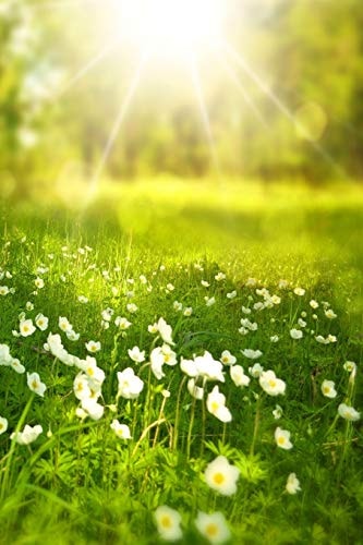 Spring Spring Is One of the Four Conventional Temperate Seasons, Following Winter and Preceding Summer. There Are Various Technical Definitions of Spring, But Local Usage of the Term Varies According to Local Climate, Cultures and Customs.