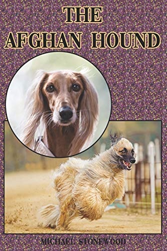 The Afghan Hound A Complete and Comprehensive Beginners Guide To: Buying, Owning, Health, Grooming, Training, Obedience, Understanding and Caring for Your Afghan Hound