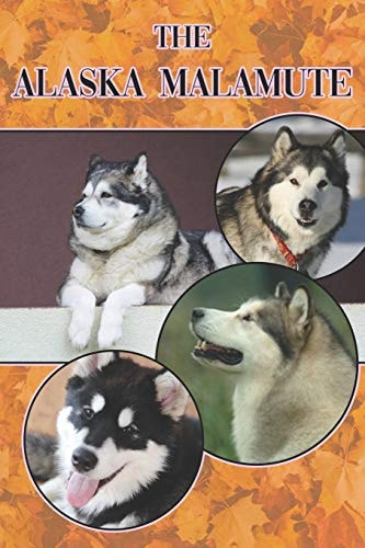 The Alaska Malamute A Complete and Comprehensive Beginners Guide To: Buying, Owning, Health, Grooming, Training, Obedience, Understanding and Caring for Your Alaskan Malamute