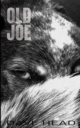 Old Joe