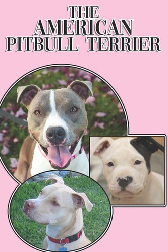 The American Pitbull Terrier A Complete and Comprehensive Beginners Guide To: Buying, Owning, Health, Grooming, Training, Obedience, Understanding and Caring for Your American Pitbull Terrier
