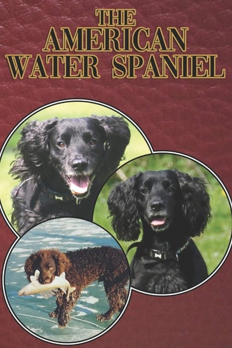 The American Water Spaniel A Complete and Comprehensive Beginners Guide To: Buying, Owning, Health, Grooming, Training, Obedience, Understanding and Caring for Your American Water Spaniel
