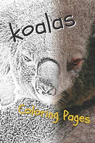 Koala Coloring Sheets Beautiful Drawings for Adults Relaxation and for Kids