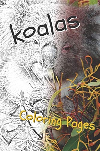 Koala Coloring Pages Beautiful Drawings for Adults Relaxation and for Kids