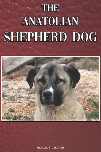 The Anatolian Shepherd Dog A Complete and Comprehensive Beginners Guide To: Buying, Owning, Health, Grooming, Training, Obedience, Understanding and Caring for Your Anatolian Shepherd Dog