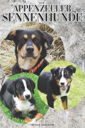 The Appenzeller Sennenhunde A Complete and Comprehensive Owners Guide To: Buying, Owning, Health, Grooming, Training, Obedience, Understanding and Caring for Your Appenzeller Sennenhunde
