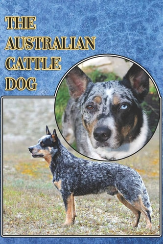 The Australian Cattle Dog A Complete and Comprehensive Beginners Guide To: Buying, Owning, Health, Grooming, Training, Obedience, Understanding and Caring for Your Australian Cattle Dog